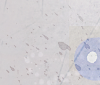 Pas de nouveaux messages Pas de nouveaux messages