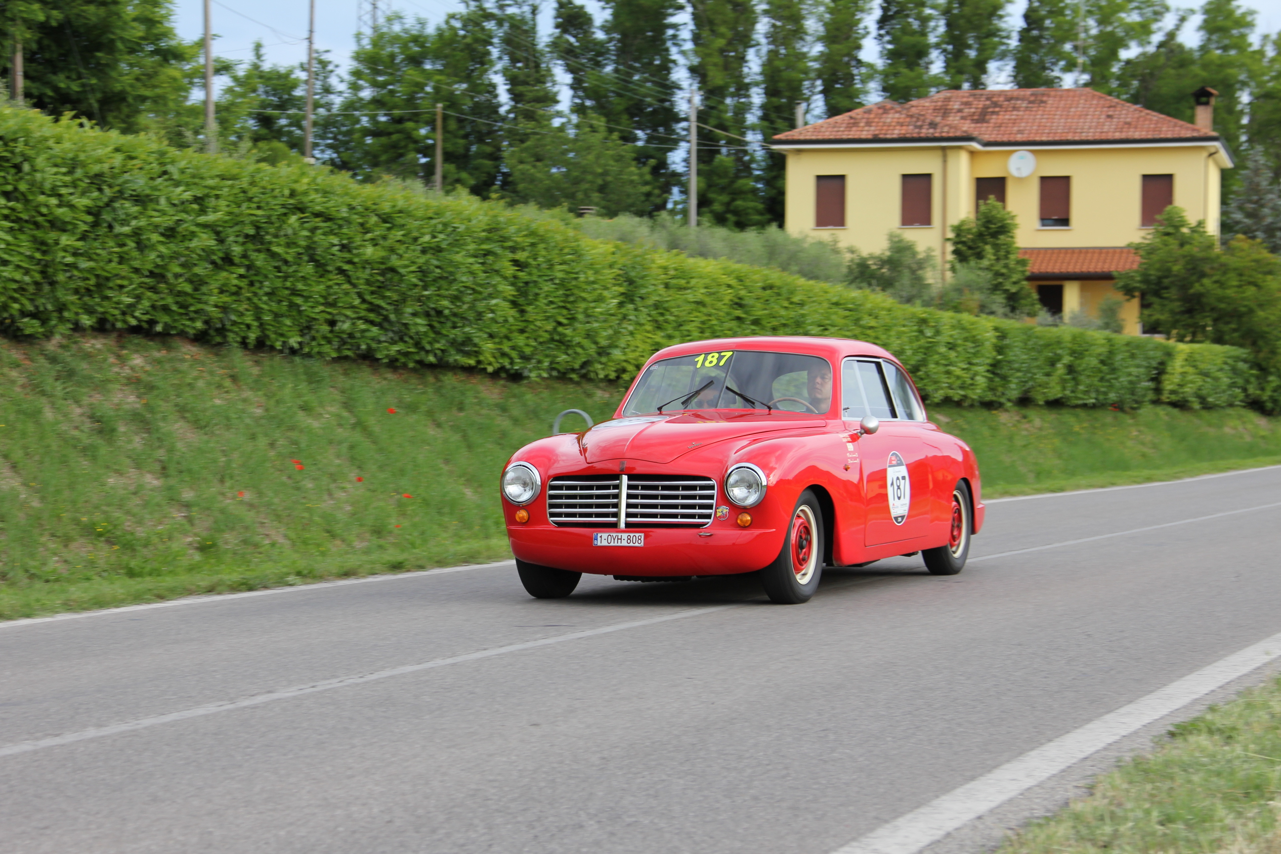 img_2462-45e966b.jpg