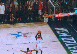 Boozer Blooper Basket.